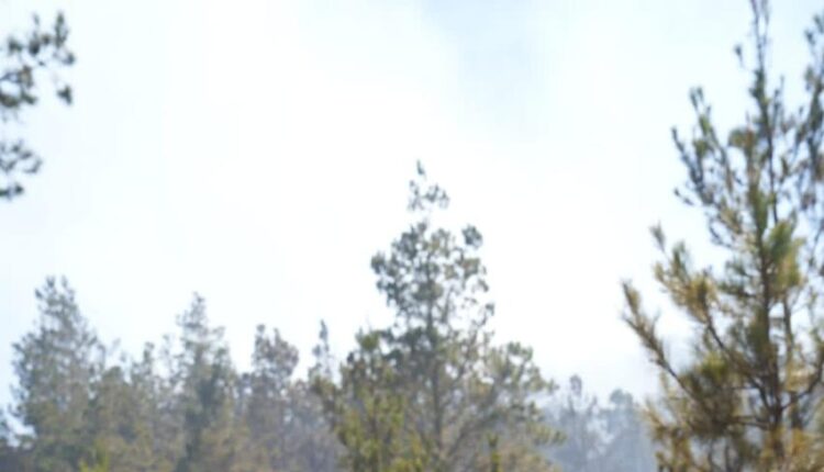 valle nuevo